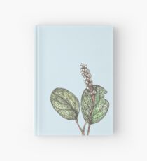 Salix Reticulata Hardcover Journal