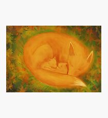 A fox family in autumn ... Photographic Print