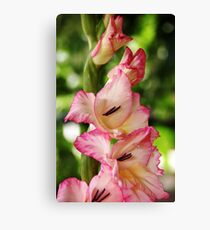 Tickled Pink Canvas Print