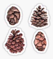 Beautiful pine cones Sticker