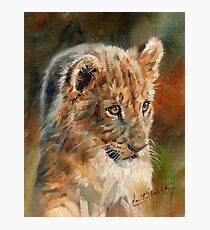 Lion Cub Photographic Print