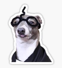 Kermit Potter Sticker