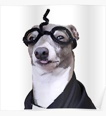 Kermit Potter Poster