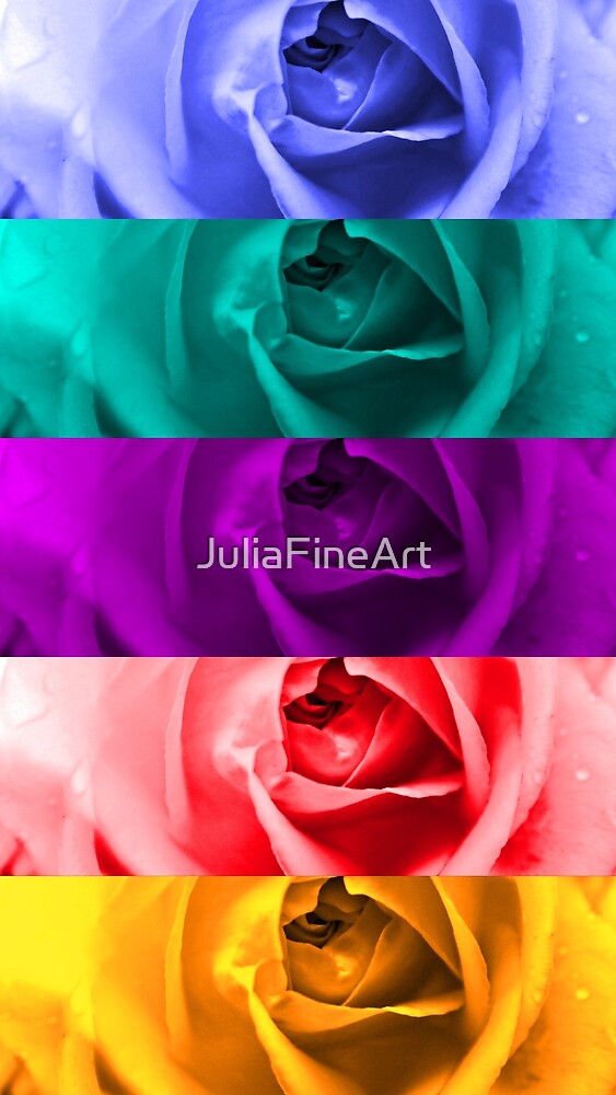 Colorful Roses by JuliaFineArt
