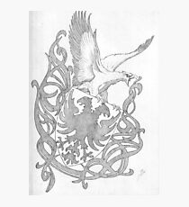 Coat of arms Photographic Print