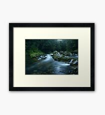 Williams River, Barrington Tops, NSW, Australia Framed Print