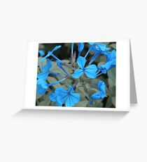 Blue flowers Greeting Card