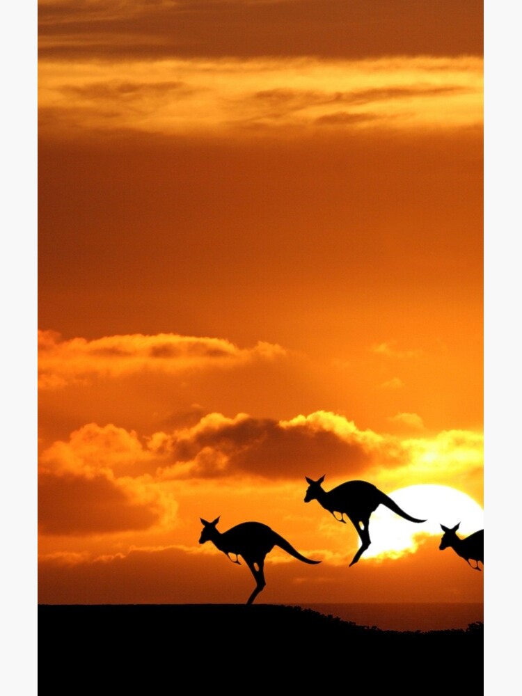 Australia by JohnDalkin