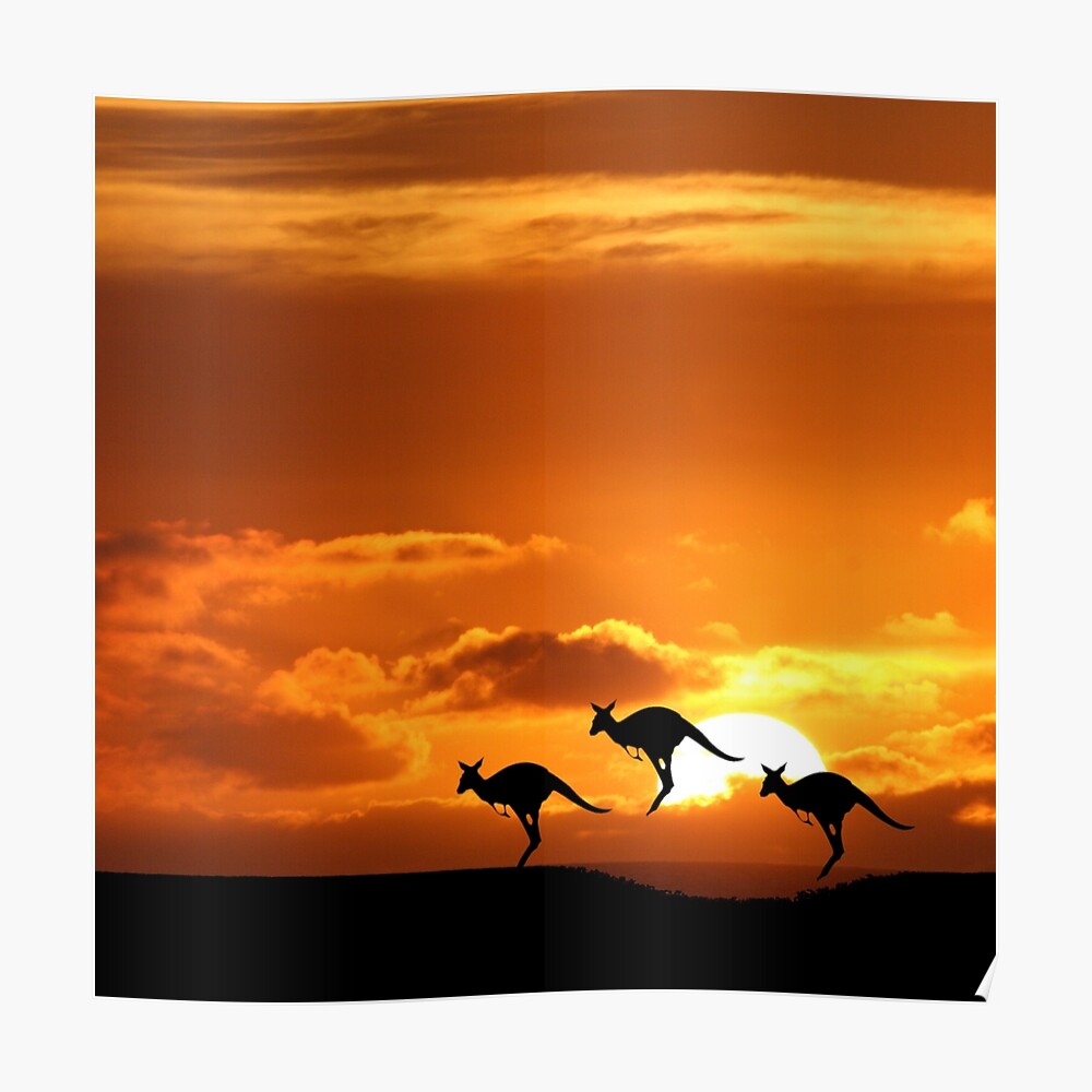 "Australia" Poster by JohnDalkin | Redbubble