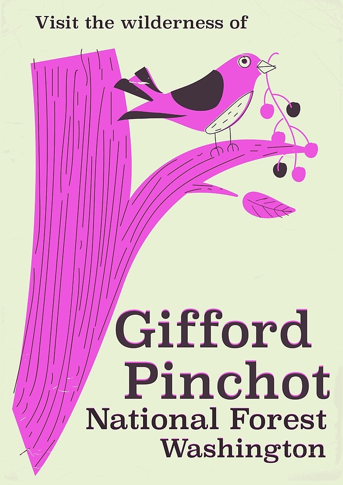 "Gifford Pinchot National Forest Washington" by Nicholas Greenaway