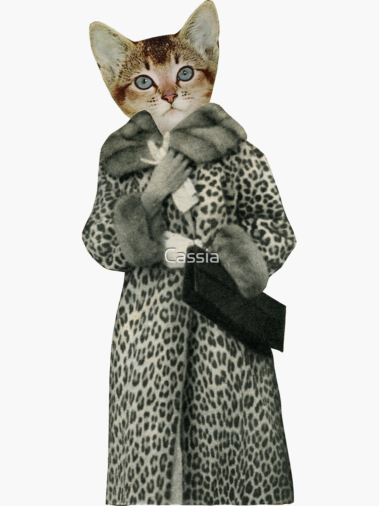 Kätzchen gekleidet als Katze von Cassia