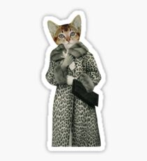 Kitten Dressed as Cat Sticker