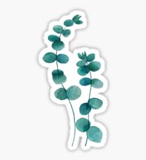 aquarelle feuille d'eucalyptus Sticker