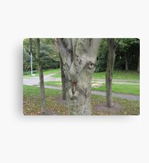 Wild Tree Face Canvas Print