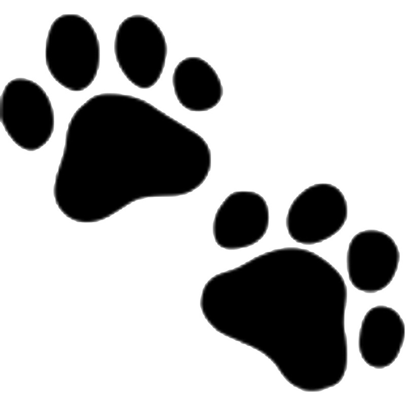 flat,800x800,075,f.u1.jpg