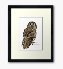 Barred Owl Tangle Framed Print