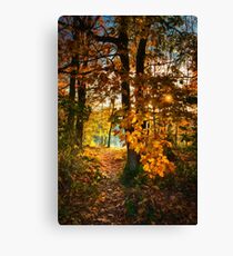 Walk to the lake Canvas Print