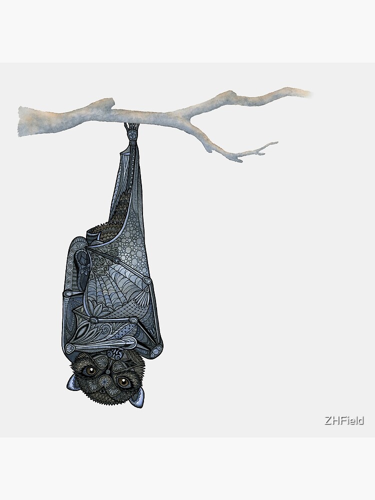 Inquisitive Bat by ZHField