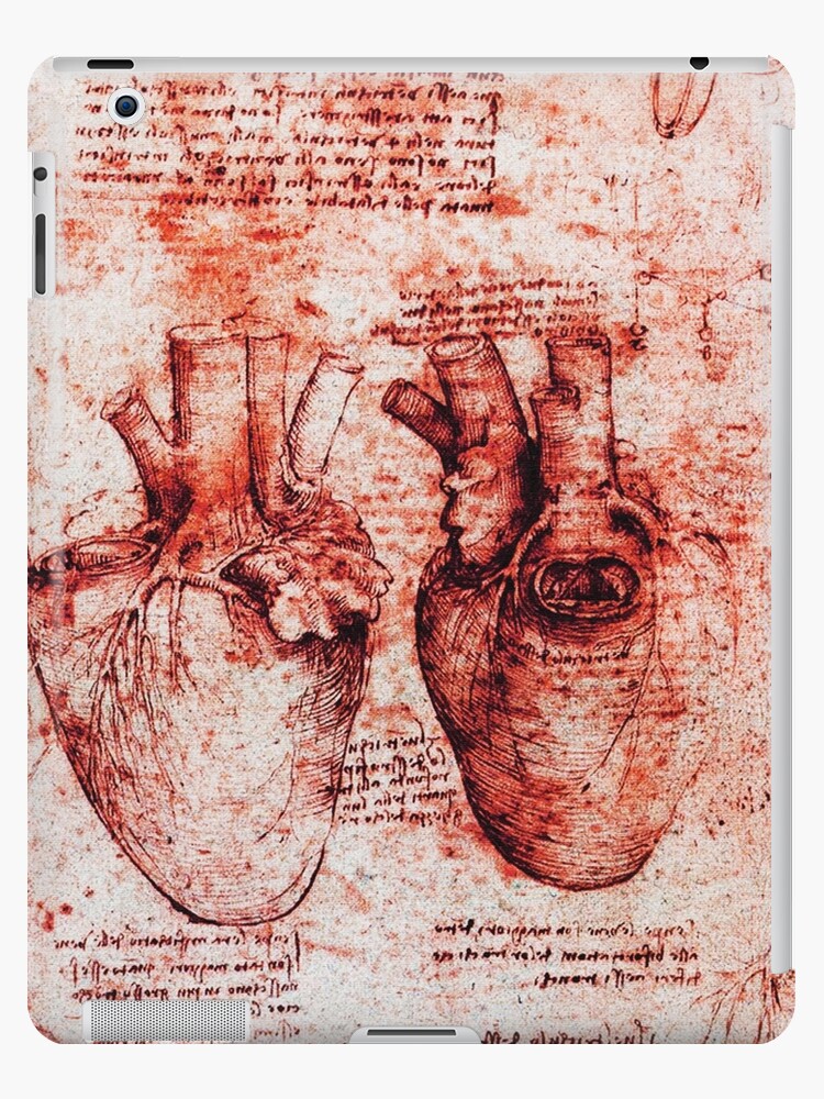 "Herz und seine Blutgefäße. Leonardo Da Vinci, Anatomie ...