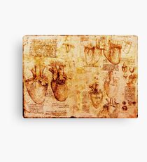 Heart And Its Blood Vessels, Leonardo Da Vinci Anatomy Drawings, Brown Canvas Print