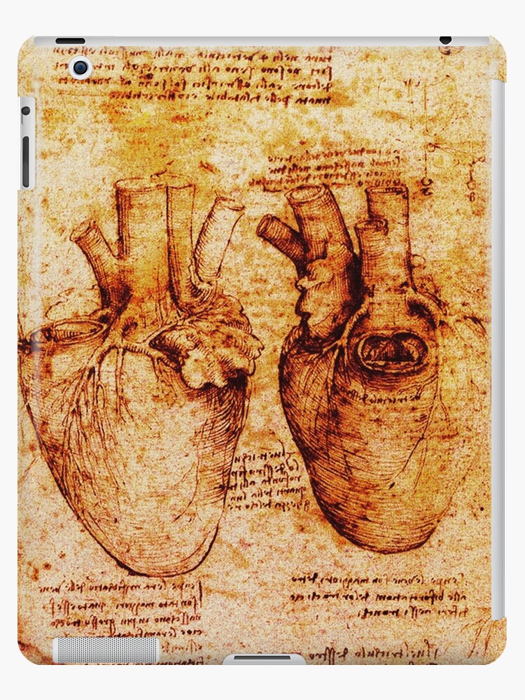 "Heart And Its Blood Vessels, Leonardo Da Vinci Anatomy Drawings, Brown
