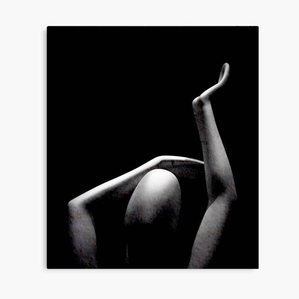 Striving for Perfection Canvas Print