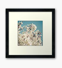Buds in May Framed Print