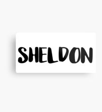 Sheldon Metal Print