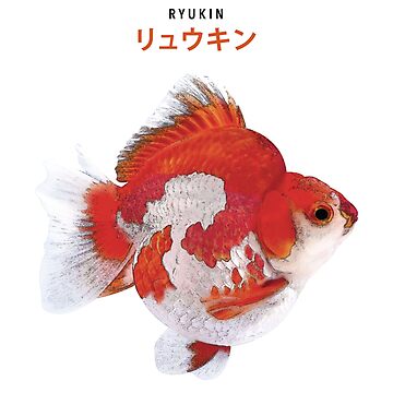 Ryukin Goldfish Magnet for Sale by FishProduct