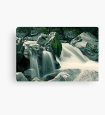 Wild Waters Canvas Print