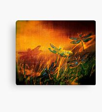 Dragonfly...Towards The Light Canvas Print