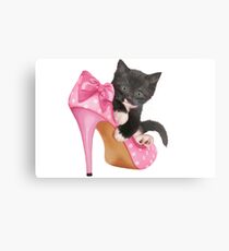 Cute Kitten with Shoe Metal Print