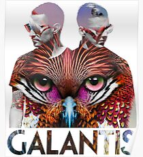 duo cat galantis Poster