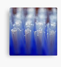 Blue Brush Macro Metal Print