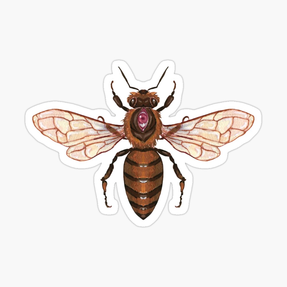 Magic Bee Pegatina
