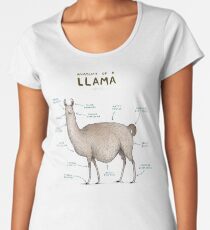 Anatomy of a Llama Women's Premium T-Shirt