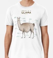 Anatomy of a Llama Men's Premium T-Shirt