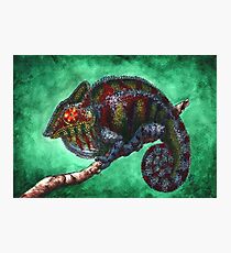 Watercolor Wildlife: Prismatic Photographic Print