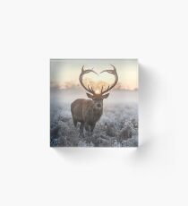 Christmas Love Stag heart shaped antlers Acrylic Block