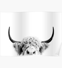 Peeking Cow Poster