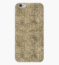 Egyptian Hieroglyphics iPhone Case