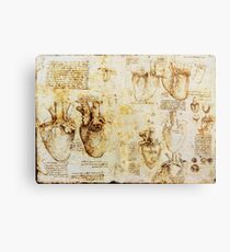 Herz und seine Blutgefäße von Leonardo da Vinci Metalldruck