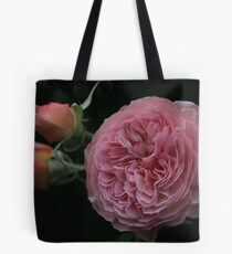 Leander#1 Tote Bag