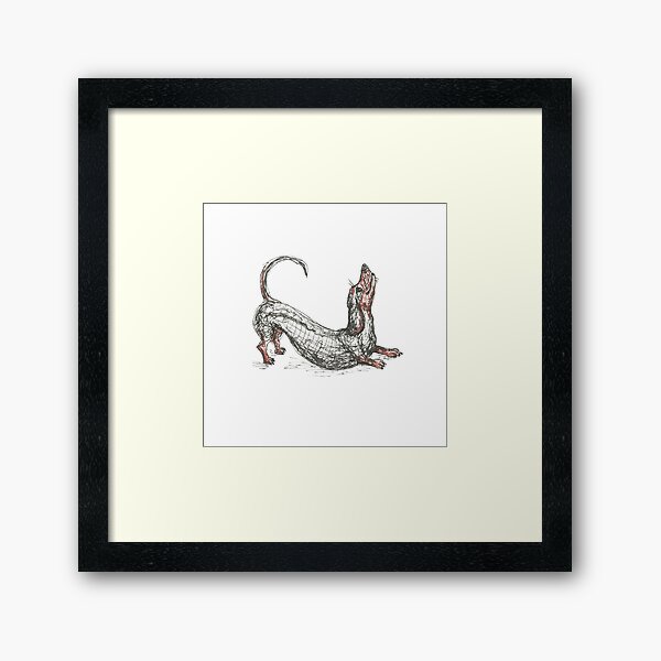 Dachshund stretching. Long sausage dog, doxie, weiner, pen and ink illustration Framed Art Print