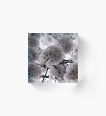 Pale Spring Acrylic Block