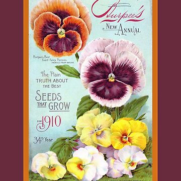 Vintage Seed Pack Art  Photographic Print for Sale by BeaconMarketing