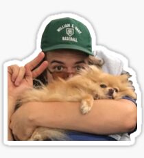 Joe Keery Sticker