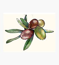 Olive Photographic Print