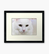 Fur baby Framed Print