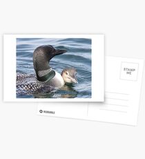 Close Quarters Postcards